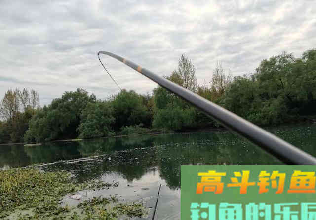 窝中来了大鱼，这几个坏习惯要改改