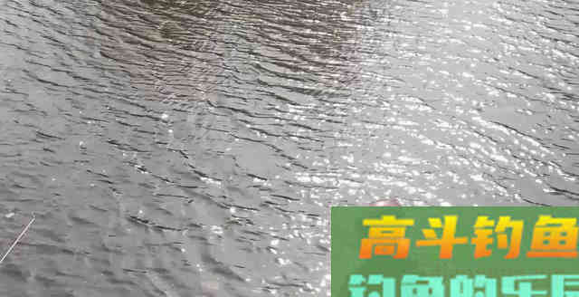 是啥原因让浮漂缓慢下沉或上顶 是啥原因让浮漂缓慢下沉或上顶
