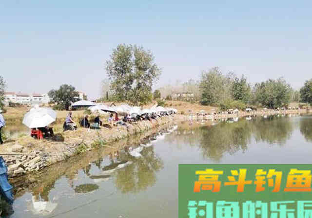 同样的鱼塘，同样的饵料，同样的钓法，为何渔获不同