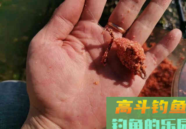 有水流的地方这样做窝诱鱼才快，效果要比手抛窝好得多
