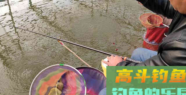 红虫钓的鱼能吃吗？答案并不唯一