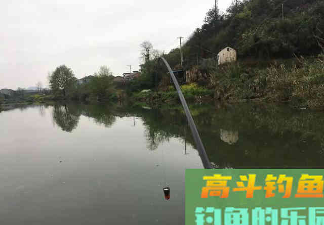 补窝未必有鱼，野钓碰到这3种情况别补窝