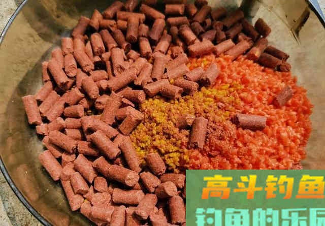 补窝未必有鱼，野钓碰到这3种情况别补窝