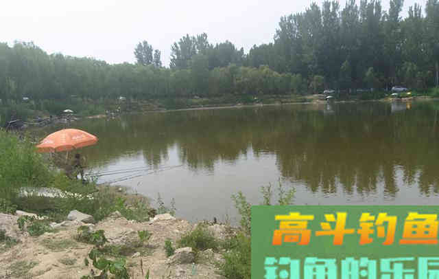 钓到鱼的好办法：并非全靠钓具，而是靠套路