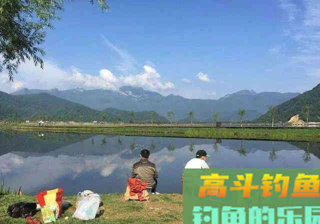 鲤鱼手饵制作教程分享，感兴趣的钓友别错过