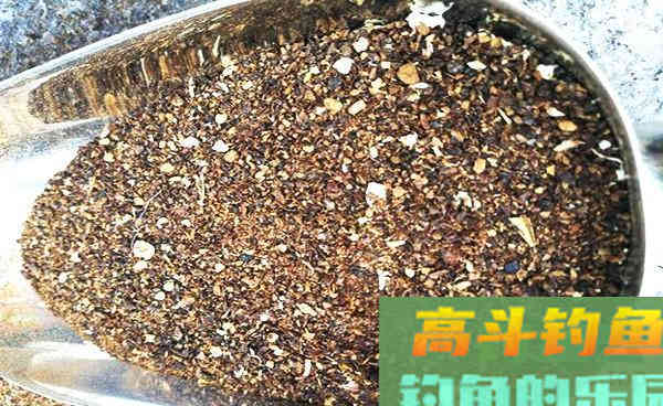 用酒糟加牛粪做窝料，半小时就发窝，不愁没鱼钓