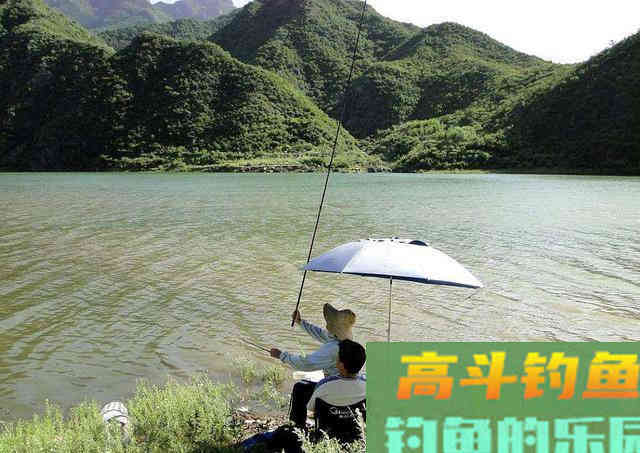 春季钓鱼打窝要慎重，很容易打死，根据钓况灵活调整