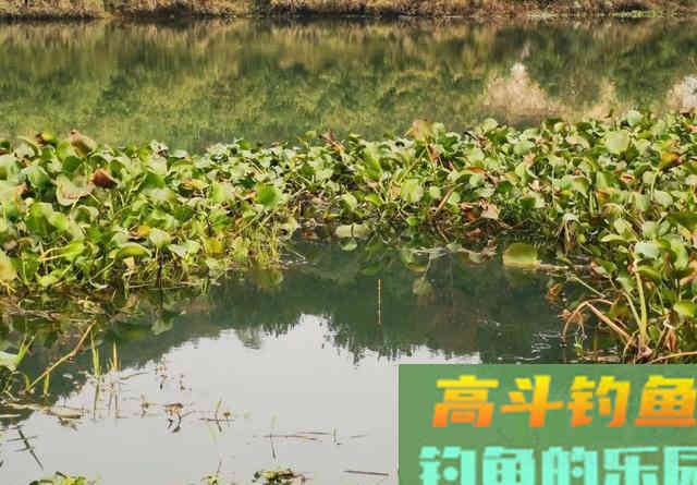 ​子线支撑力是否真的存在？别再争了，看完几组图片就能明白
