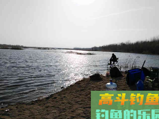 钓点走水，教你四个招数，激流一样能下杆
