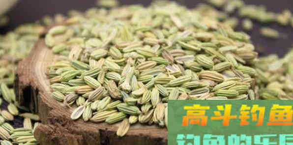 渔具店的小药太坑人，不如从这几种东西中选一种