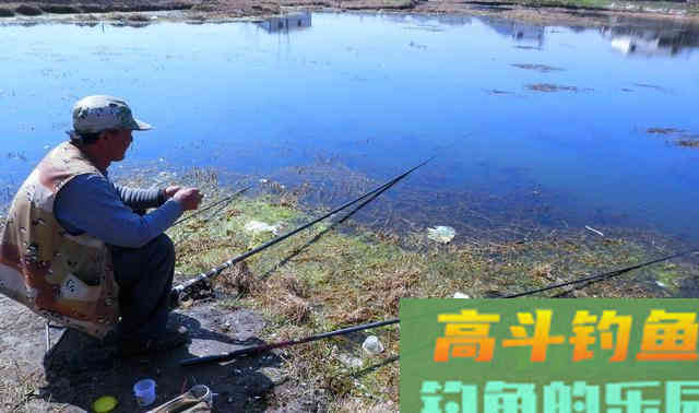 钓鱼时间少的钓友看过来吧！做好这3点，一样可以钓得爽