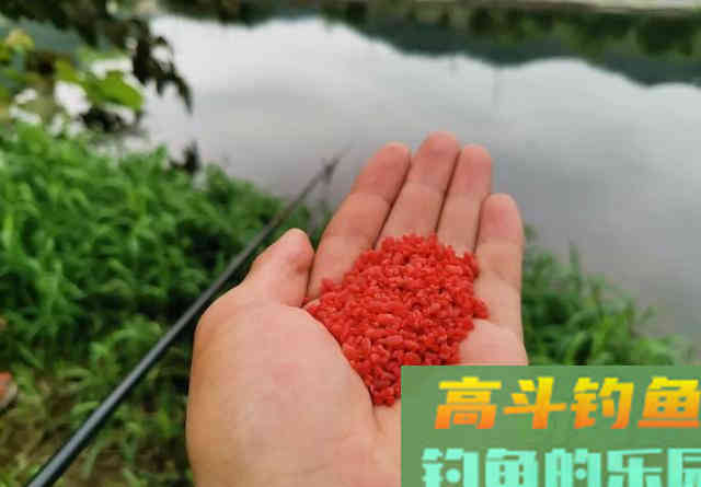 这3种非常规的打窝方式，在野钓中却经常能钓到大鱼