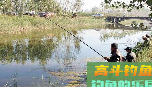 冬季使用红虫钓鱼，我有7条建议送钓友