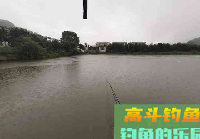 跟着大师学钓鱼，越学越钓不到鱼？我来告诉你几个真相