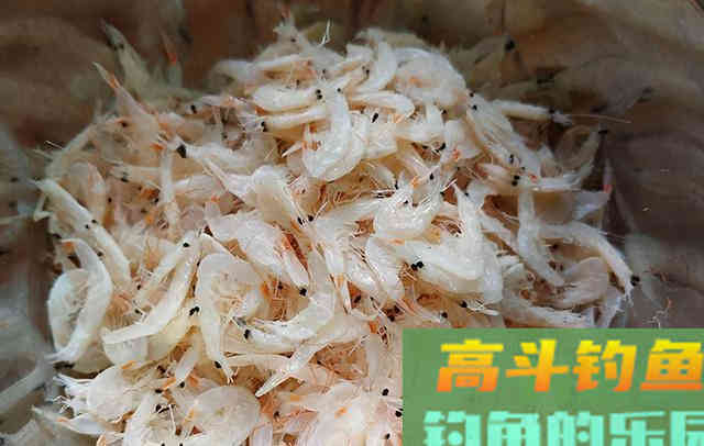 自制腥味饵料添加剂，成本虽高但钓效好