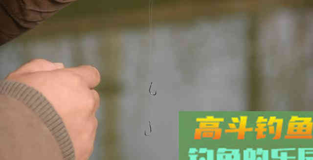 子线长度有多讲究？相差10厘米钓获可能少一半