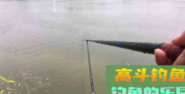 什么时候钓底什么时候钓浮？老钓友告诉你