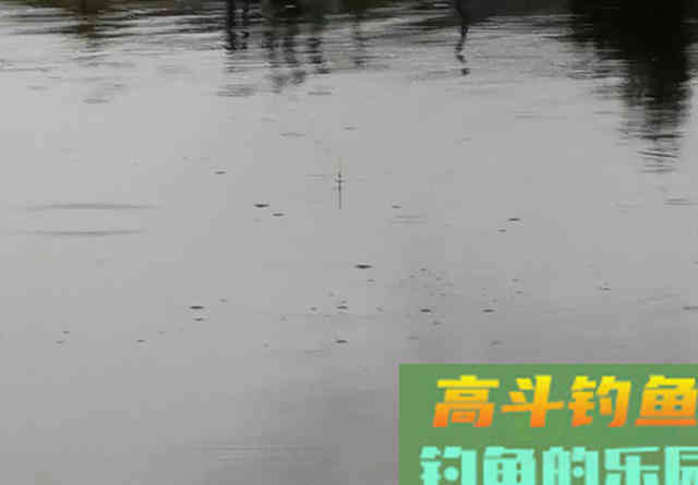 红薯做钓饵这样加工一下，不仅能钓到鲤鱼，还能兼顾大鲫鱼