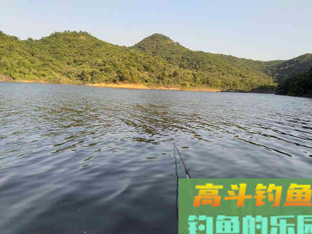 浅谈风向和做窝地点的关系，掌握后大幅提升诱鱼速度