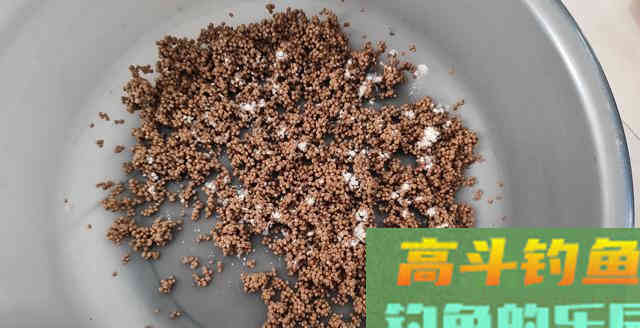 老钓客只用颗粒却多出半数渔获，最后请他抽盒华子