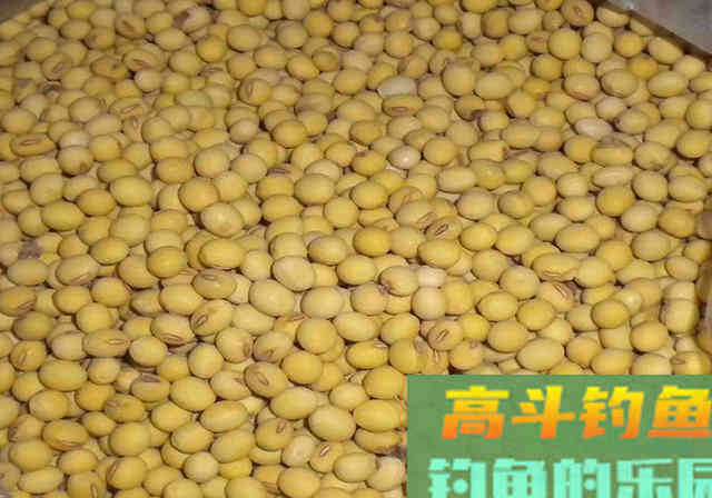 野钓鲫鱼，用对饵料钓到鱼并不难，附自制饵料过程