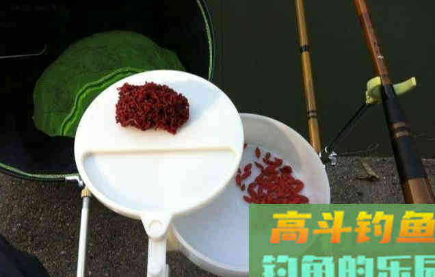 是噱头还是炒作，枸杞钓鱼，到底行不行