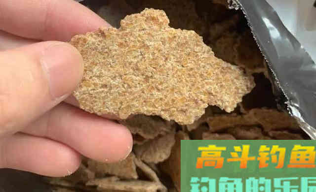 钓鱼不是喂鱼！春季钓大鱼打重窝会坏事