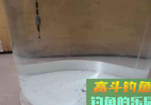 ​子线支撑力是否真的存在？别再争了，看完几组图片就能明白