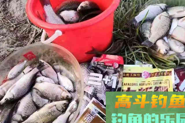 开拉饵时，这4个细节高手都会注意