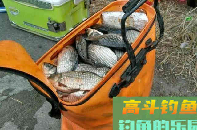 二十年野钓高手透露：大板鲫就爱吃这饵