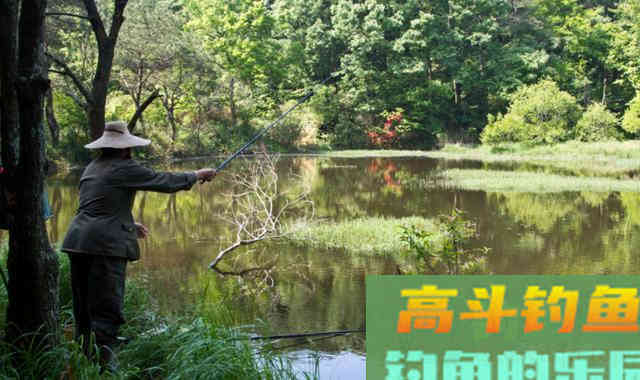 饵料附钩性太差，入水之后很快就会脱落怎么办