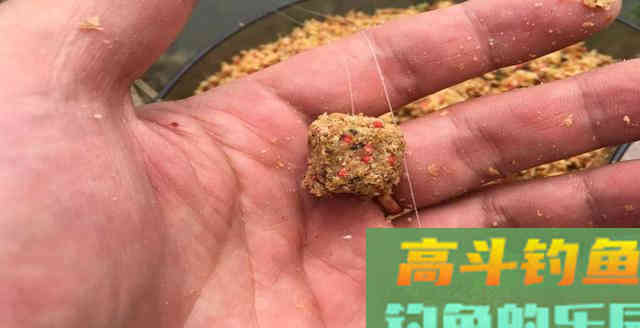 300元购买鱼饵配方，做出的饵料上钩都成问题