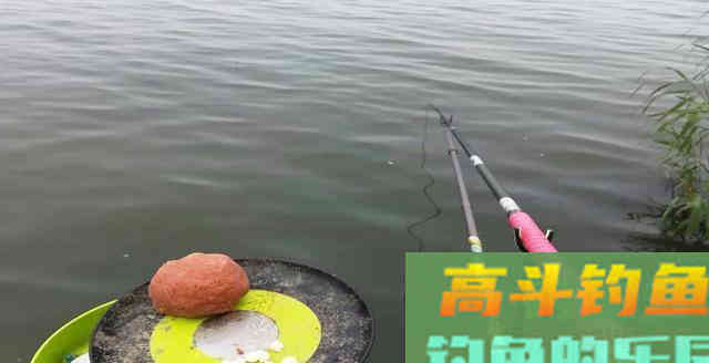 同样都是钓鱼，为何别人比你钓得多，秘密在这里