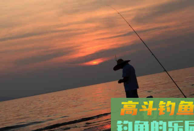 浮漂有动作后，要在什么时间提竿呢