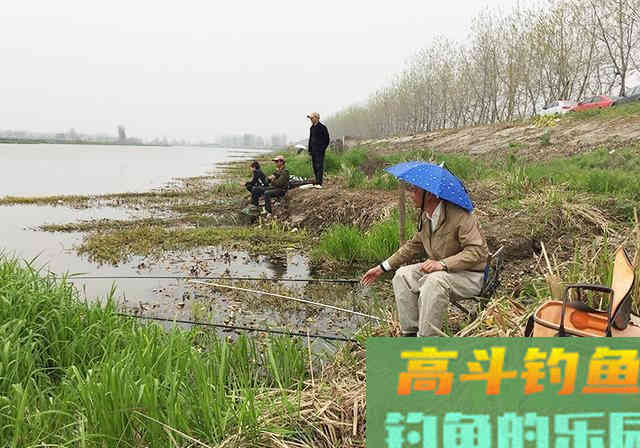 新手花600块买堆钓具，一天钓了5条鱼
