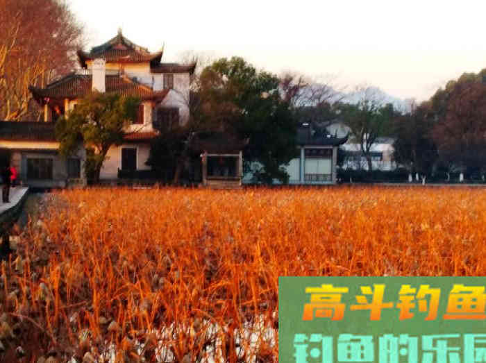 冬钓实操注意的细节，调漂与用饵的技巧