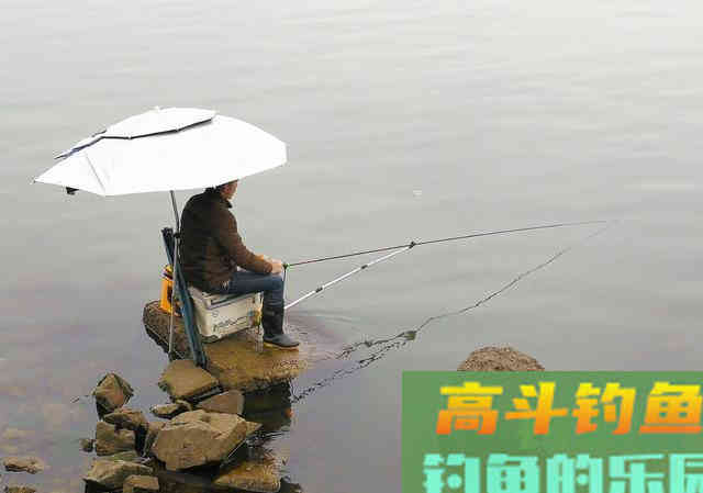 最好不要钓这三种鱼，聪明的钓鱼人都躲着跑