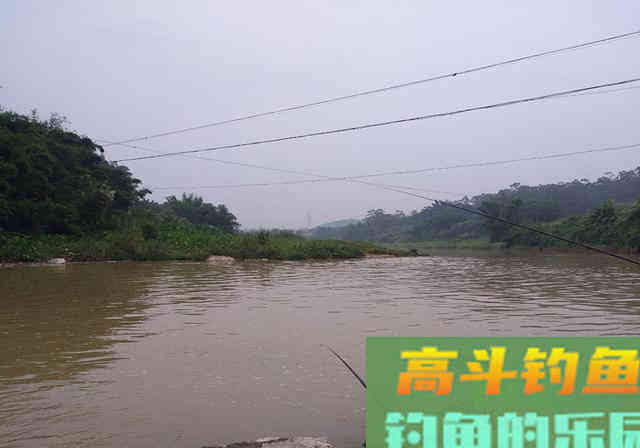 别人钓到鱼，你却钓不到，原因都在这里了