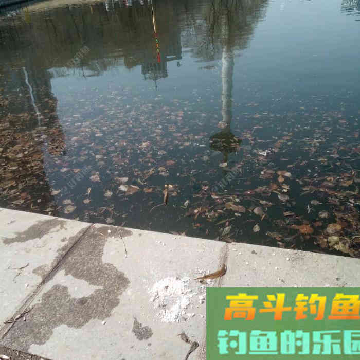 那熊学钓第72篇：灵活用饵