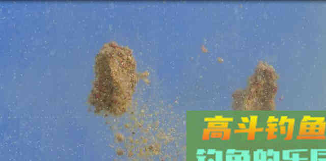 猾口鱼只能用什么饵料