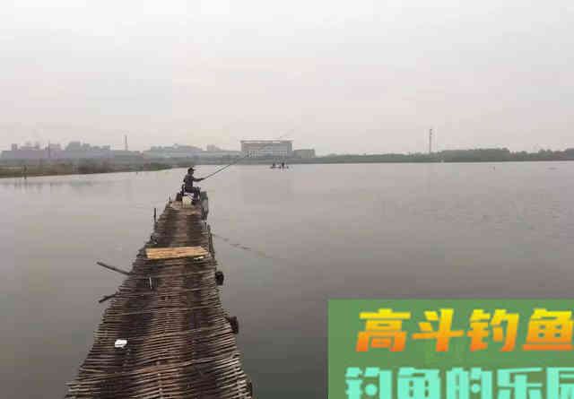 冬天钓鱼用这几种小药物美价廉