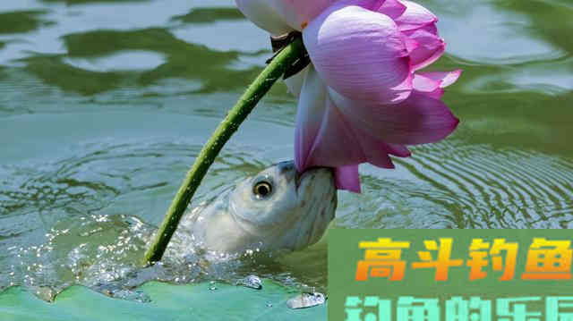 要万分小心让你钓深水的大师，他们钓浅水爆护的时候从来不和你说