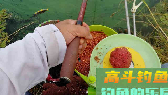 新手如何选择钓竿，分享一下自己的感受