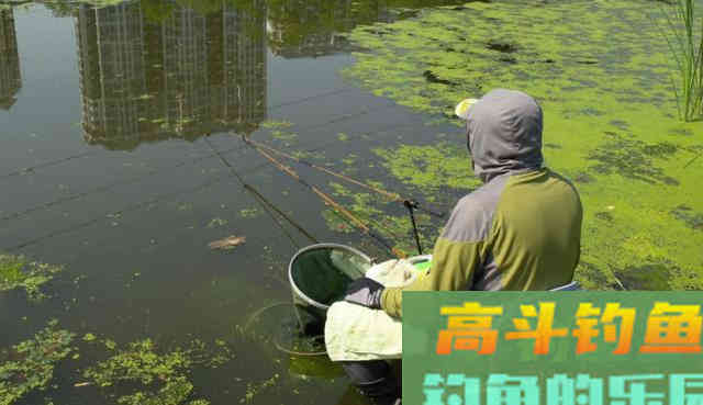 钓鱼有规律，别再用钓无定律、随机应变忽悠人