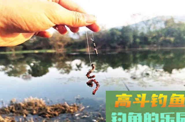 蚯蚓钓鱼，别人爆护你“白板”！学会通杀型挂法