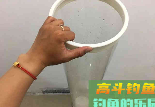 ​子线支撑力是否真的存在？别再争了，看完几组图片就能明白