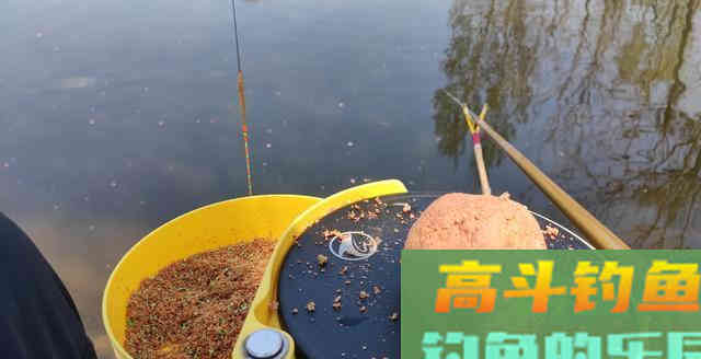 钓鱼小药可不是法宝！熟悉饵料本身特性才能行