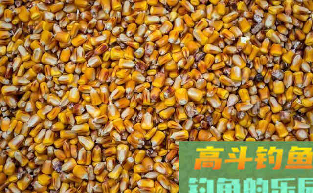 春季钓鲤鱼，这3种打窝方式，成本低