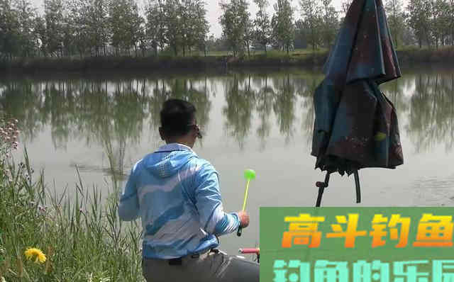 秋天来了,推荐几款商品饵,比蚯蚓还好用
