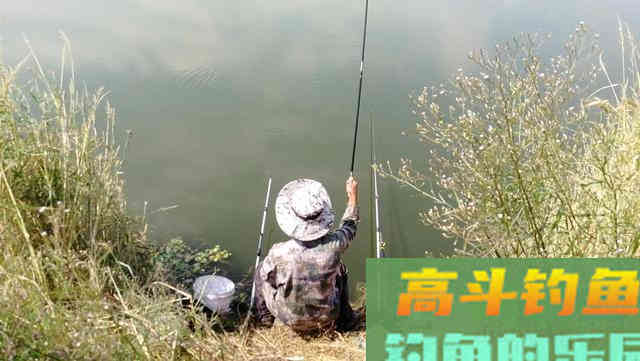 钓鱼新手要养成的四个好习惯，让你渔获翻倍